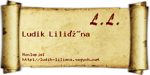 Ludik Liliána névjegykártya